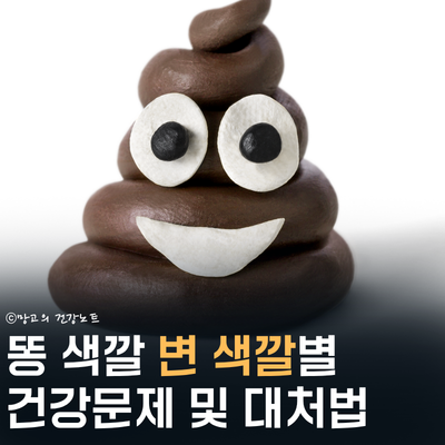 똥 변색깔 모양 냄새별 건강문제 및 대처ㅣ초록변, 혈변, 검은색변, 회색변