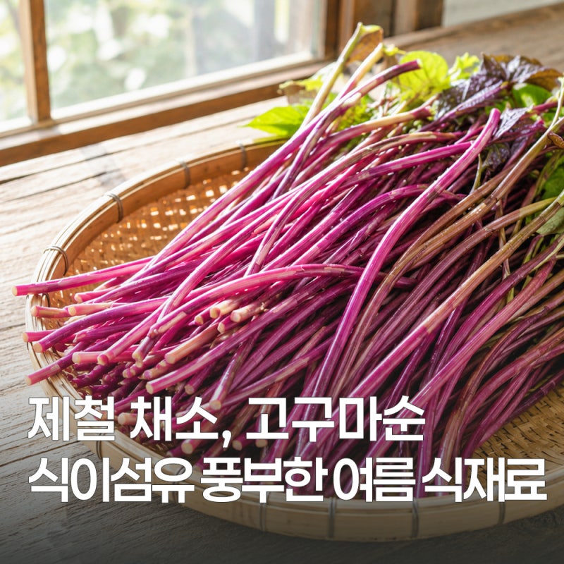 여름 제철 고구마순 효능과 칼로리 먹는 법 정리