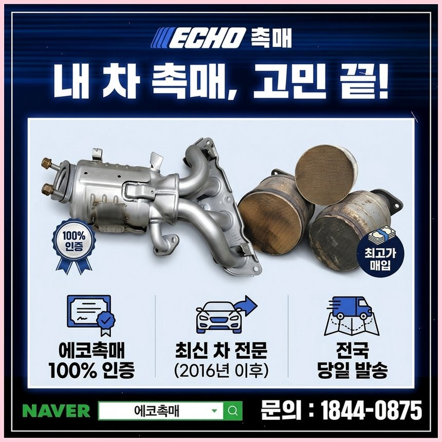 모닝 사진 4