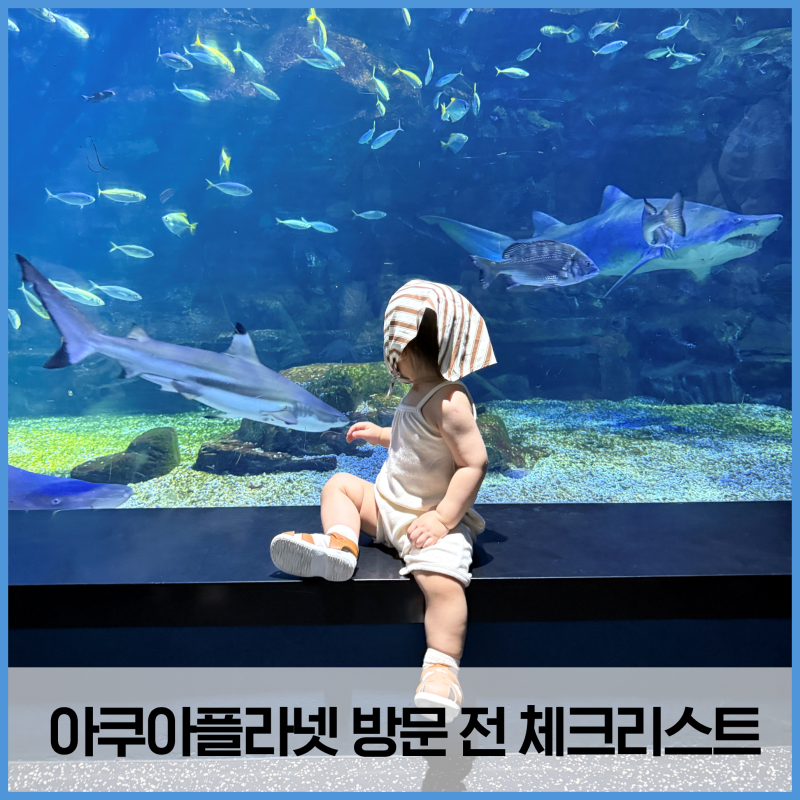 아쿠아플라넷 일산, 방문 전 체크리스트! 이것 꼭 알고가자(수유실위치, 이벤트, 체험 등)