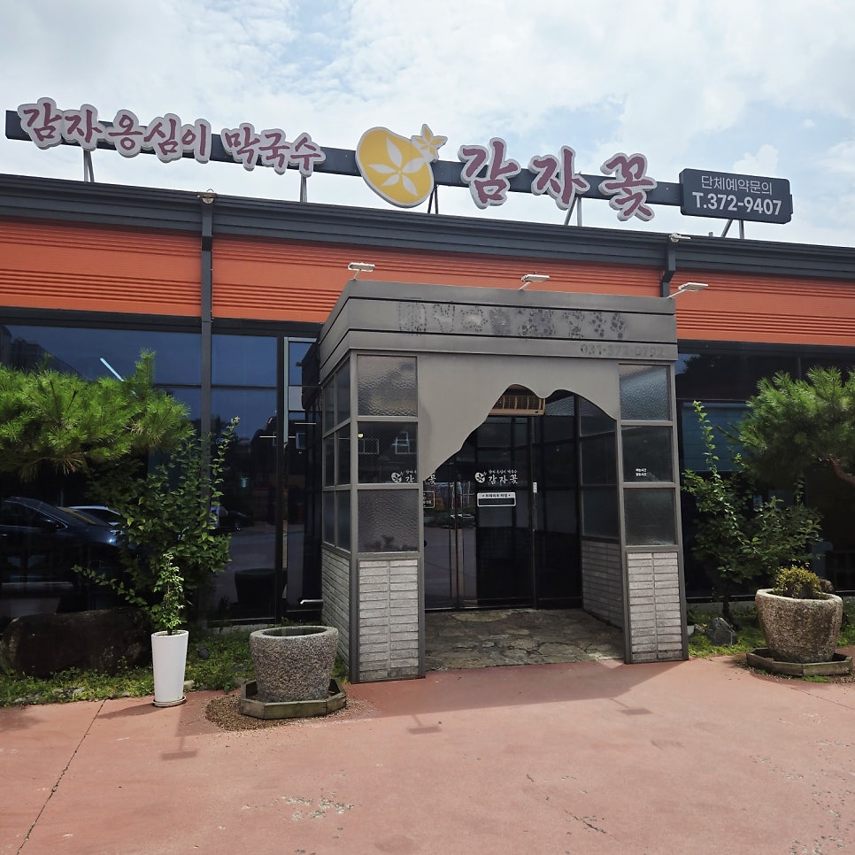 감자꽃 사진 1