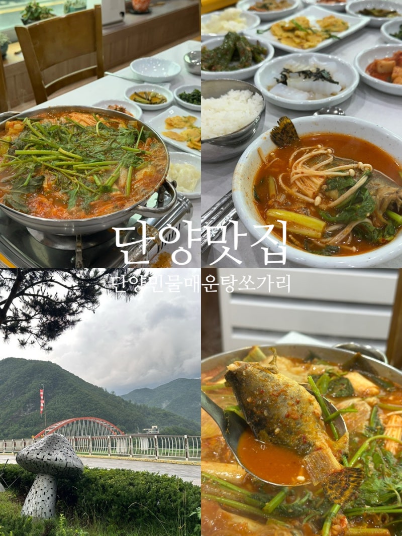 단양 쏘가리 매운탕 구경시장 쏘가리 특화거리 민물매운탕쏘가리 가성비