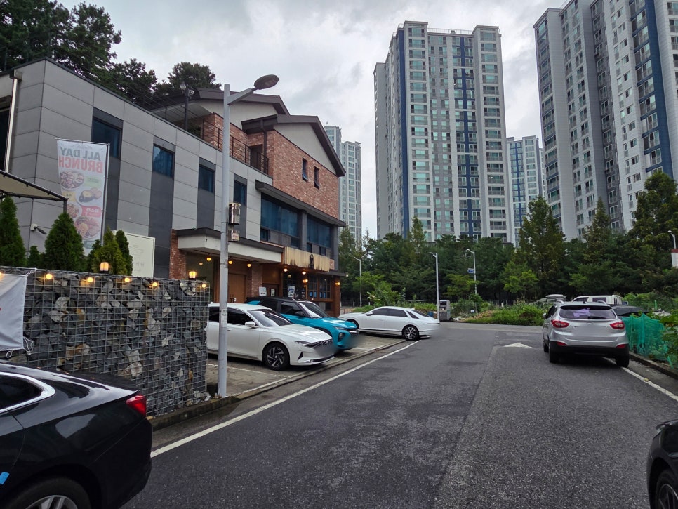 로즈레터 사진 2