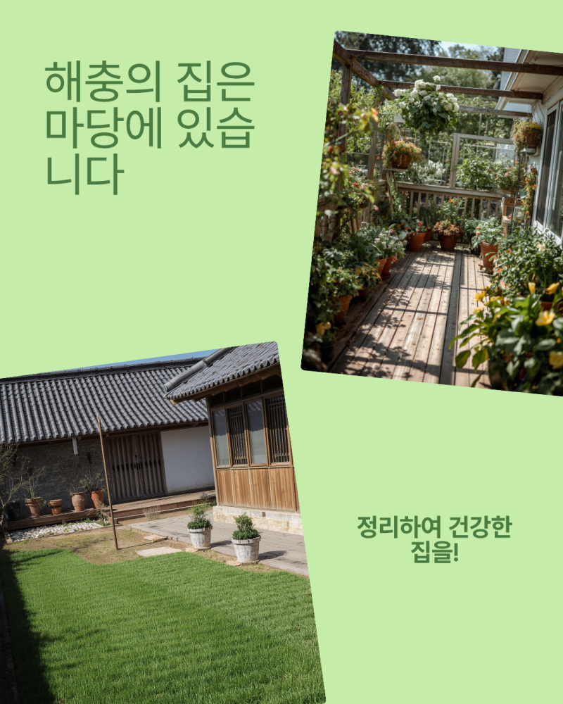 [전원주택 해충 방제] 지네·모기 싹 잡는 친환경 관리법