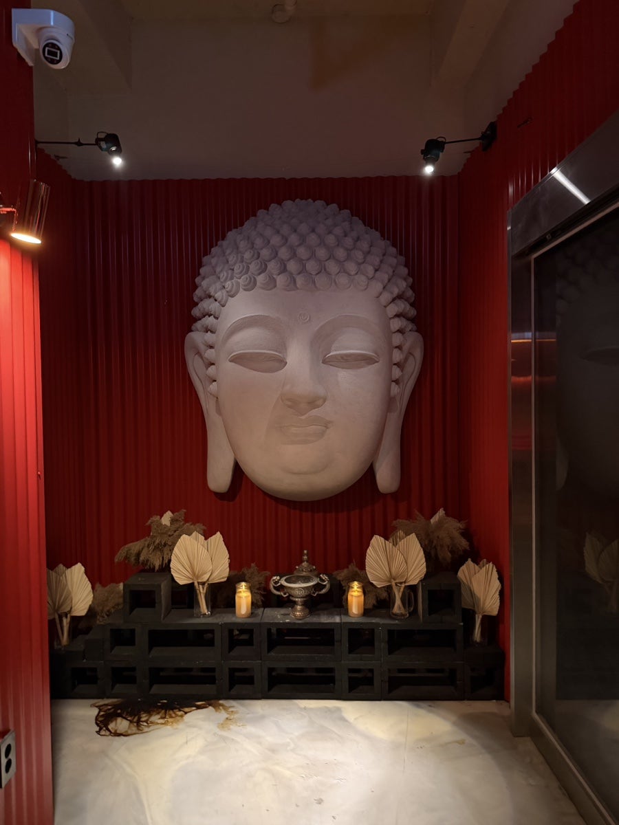 덤불 사진 3