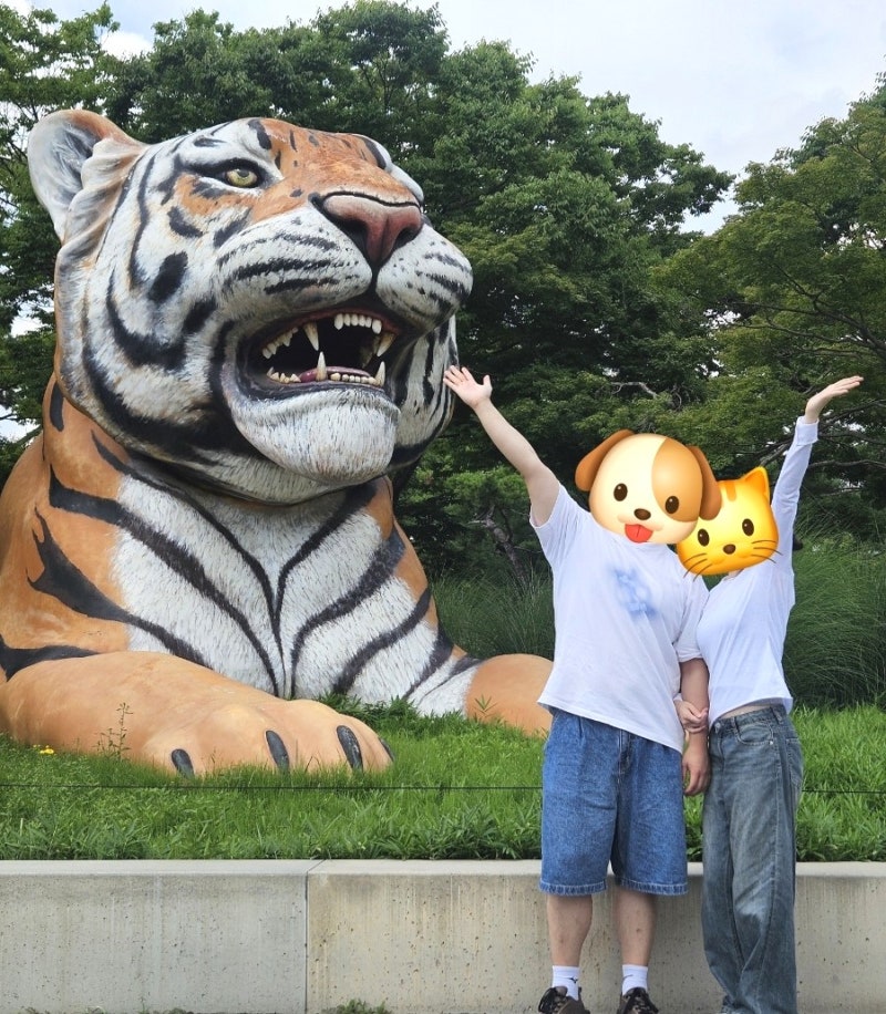 설호 호랑이 보고왔어요, 과천 '서울대공원동물원' 관람팁