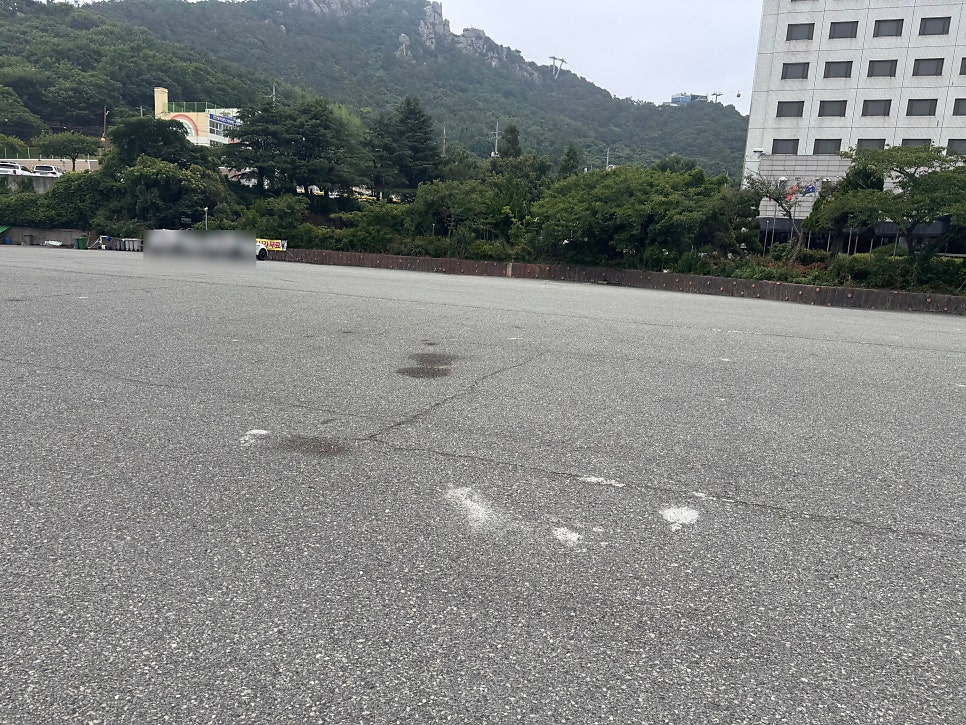 나리옥 사진 4