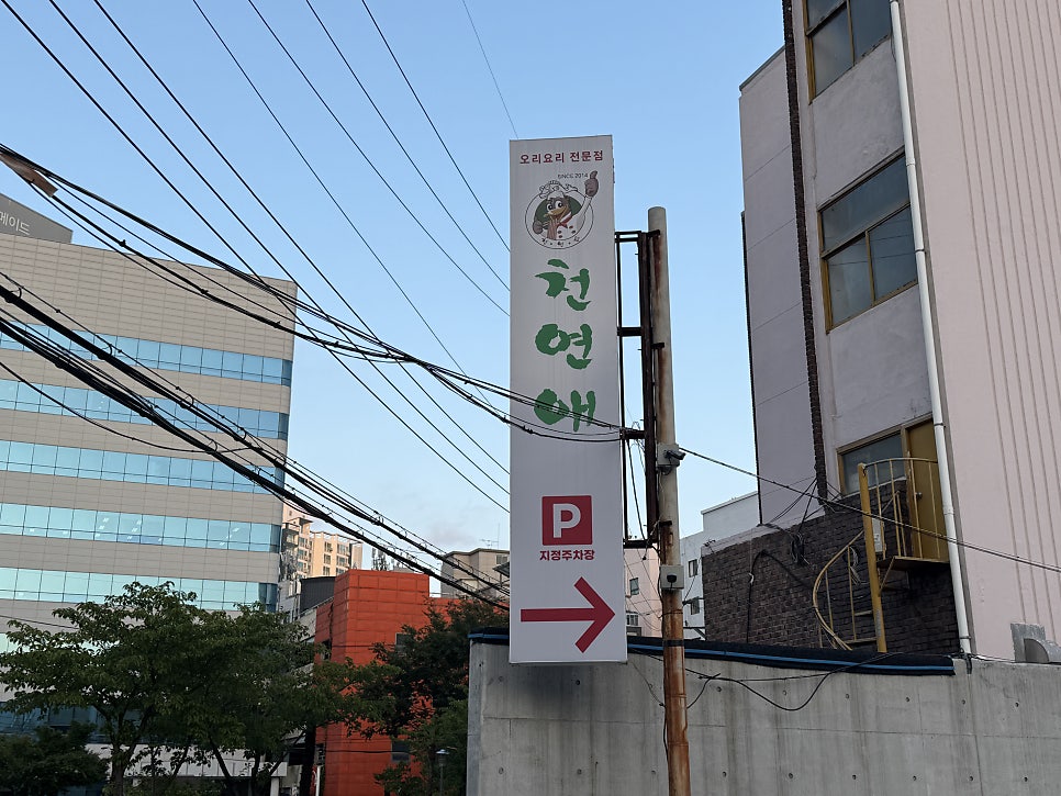 사헌 사진 4