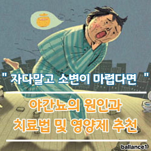 자다 깨는 야간뇨의 원인과 치료법 및 영양제 추천