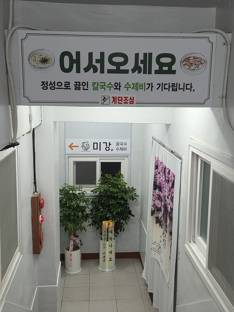 미강 사진 2