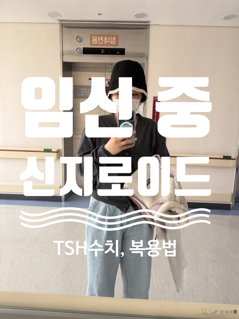 갑상선암 수술 후 임신, 신지로이드 이렇게 관리했어요 (TSH 수치 실전 정리)