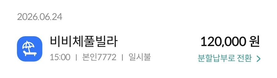 비비체 사진 6