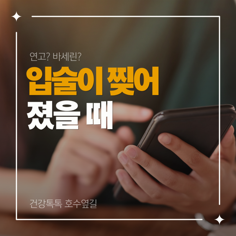입술 찢어졌을 때, 먼저 해야하는 대처법부터 연고 선택