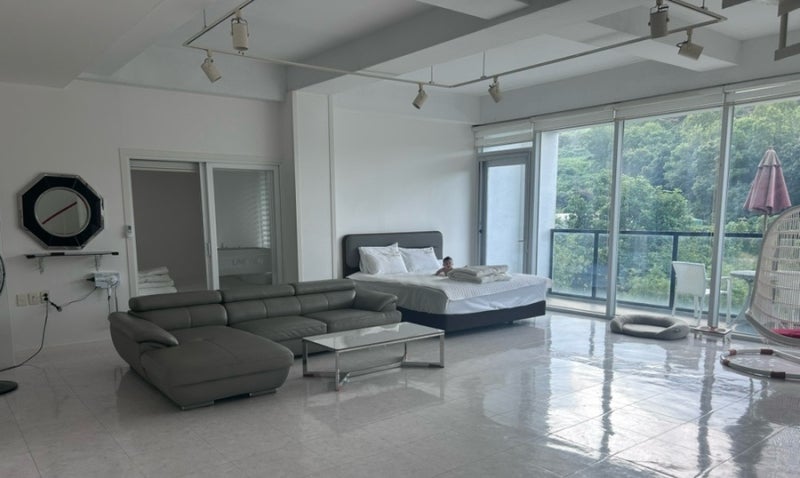 울산 애견동반펜션 경주 라인뷰 풀빌라 펜션