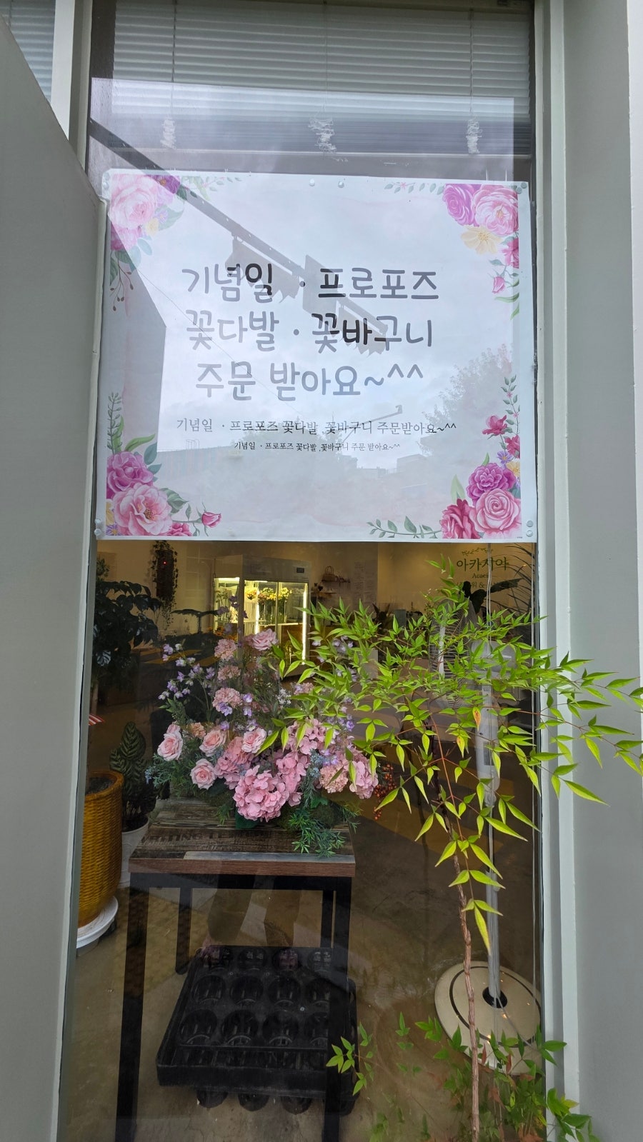 아카시아 사진 3