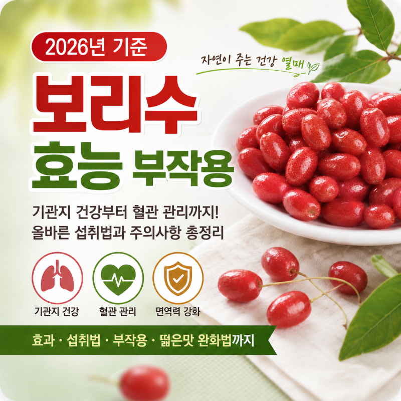 보리수 효능 부작용