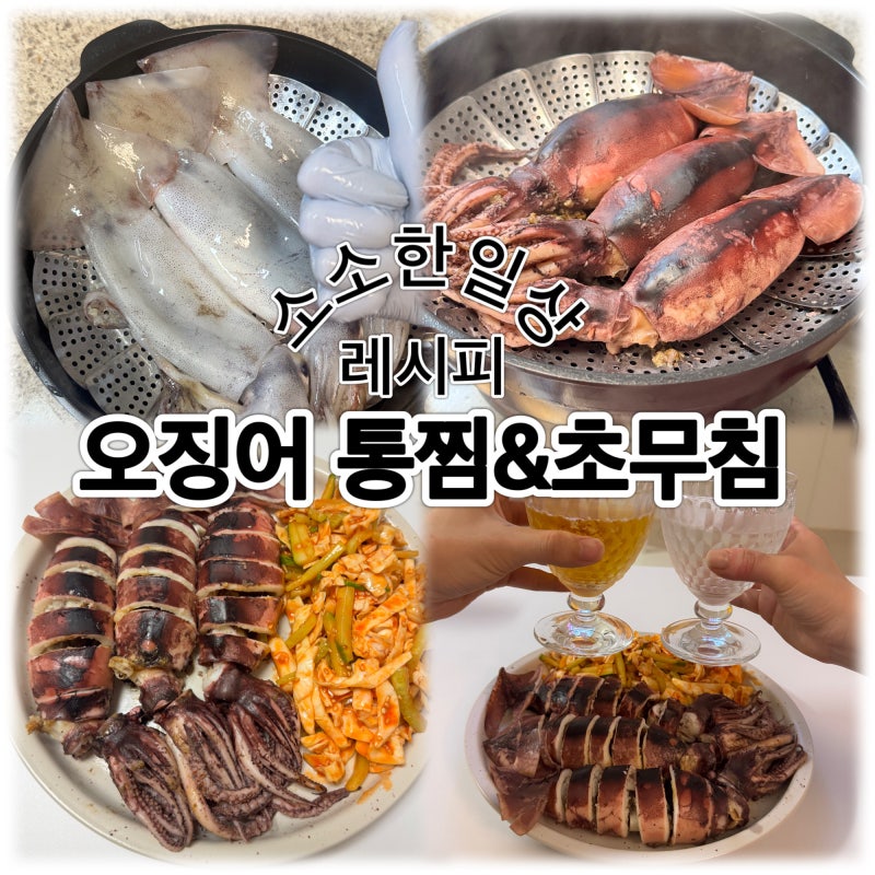 [일상기록]녹진하고 고소한 채낚기 오징어 통찜&초무침 레시피(손질법)