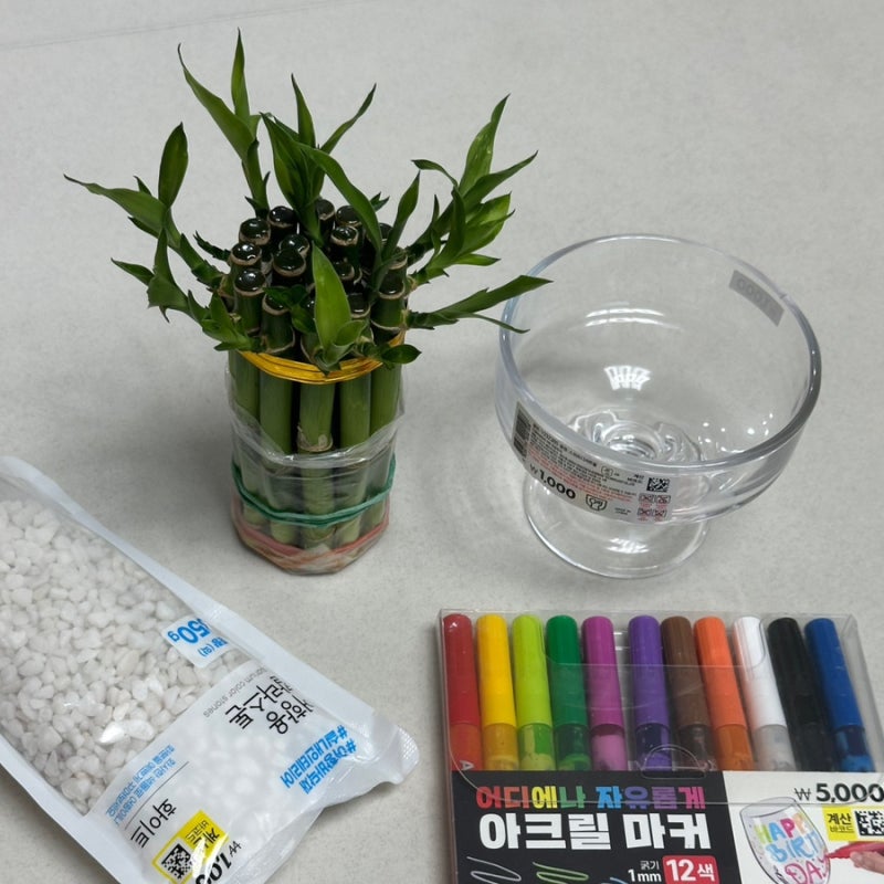 다이소 디저트컵으로 개운죽 화분 만들기, 3주 만에 이렇게 자랐어요