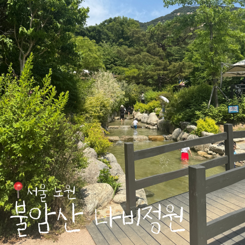노원 불암산 나비정원 물놀이터와 계곡｜아이와 가기좋은 곳 추천