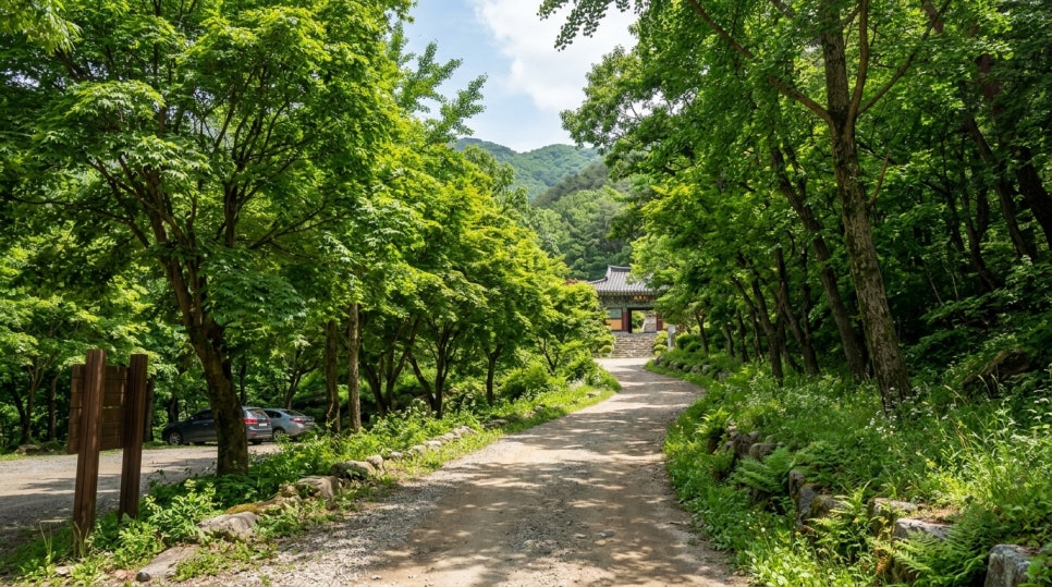 만연산치유의숲 사진 2