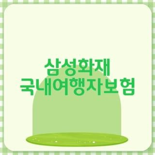 삼성화재 국내여행자보험 직접 가입하고 겪어본 현실 꿀팁과 솔직 후기