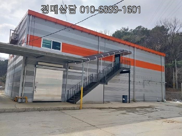 외동 사진 4