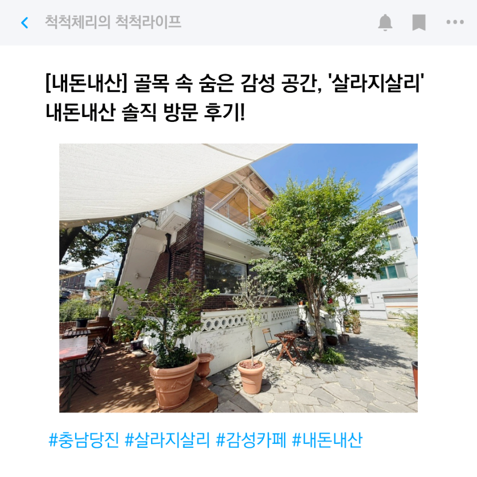 살라지살리 사진 1