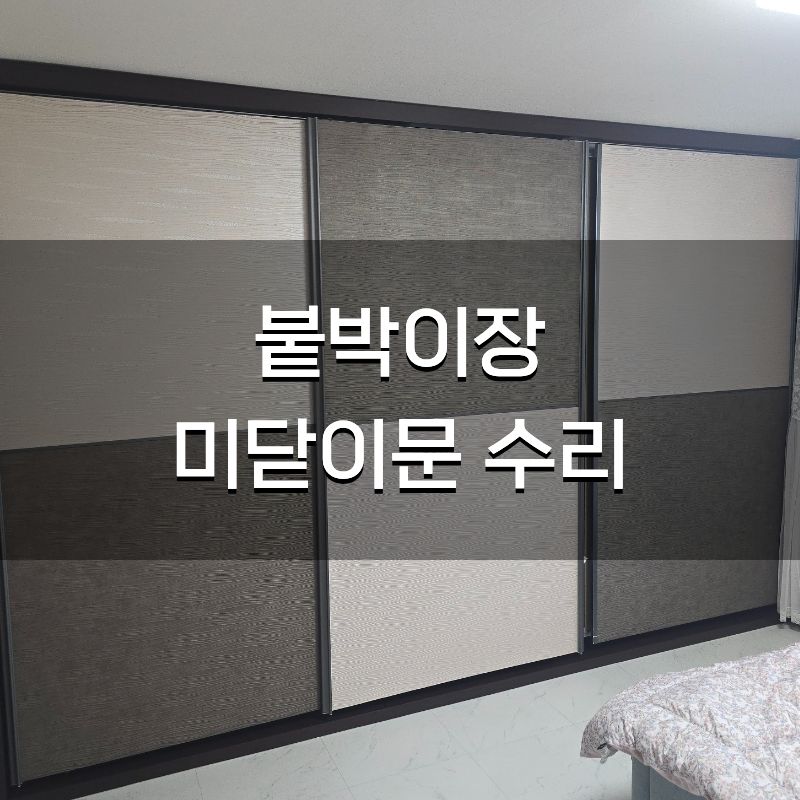 장 사진 1