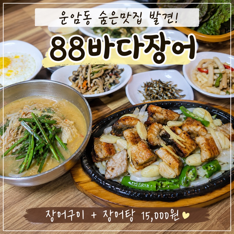 88바다장어 사진 1
