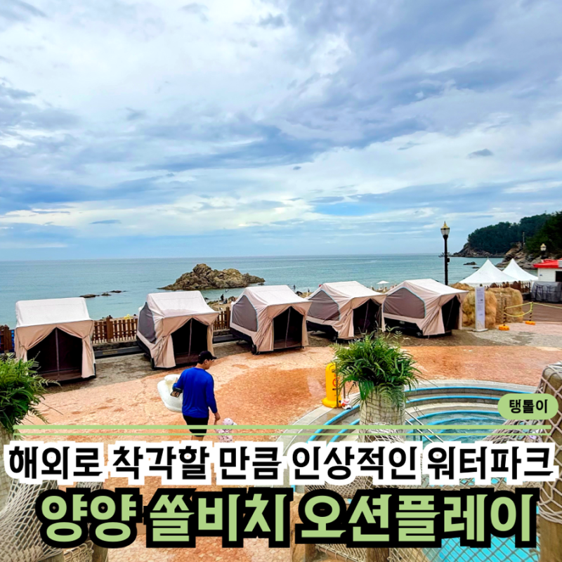 양양 | 쏠비치 오션플레이, 아이와 함께라면 물놀이 다음 만족도 높다는 "이 곳" 부모님도 아....