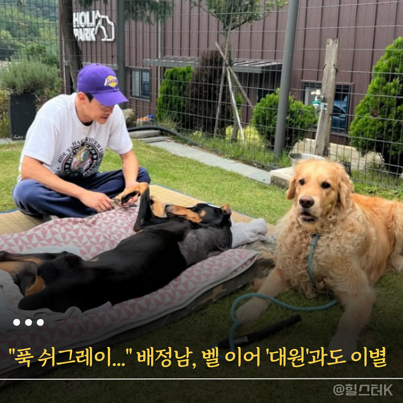 "푹 쉬그레이..." 배정남 '벨' 이어 또 반려견 '대원'과 이별에 팬들 응원