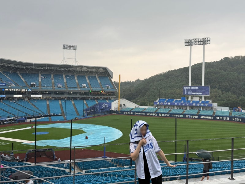 삼성 라이온즈파크 잔디석 시야, 자리 꿀팁, 클래식시리즈 예매 우천취소 후기