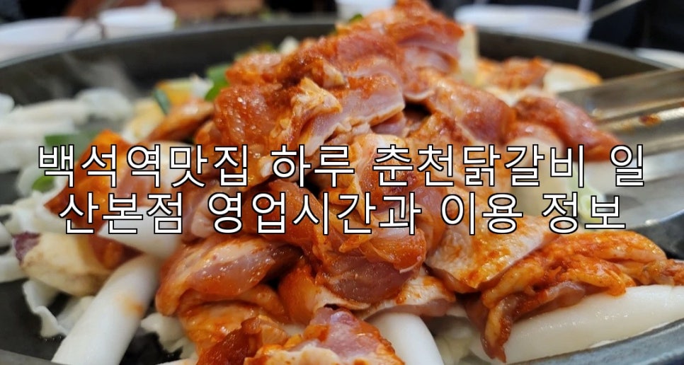 춘천닭갈비 사진 1