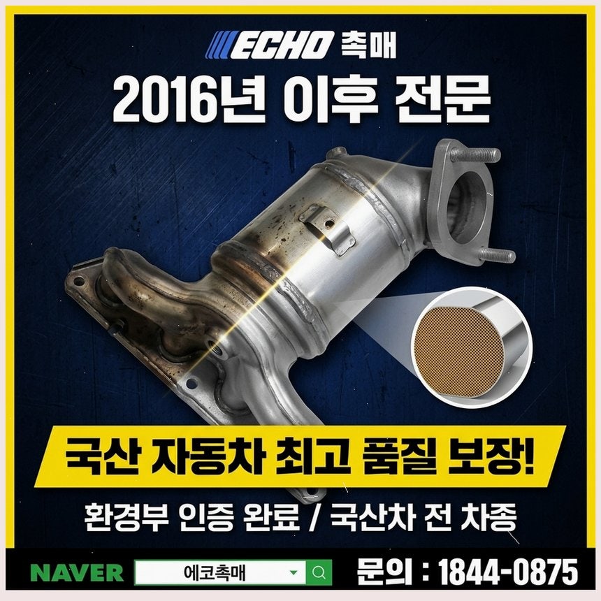 모닝 사진 6