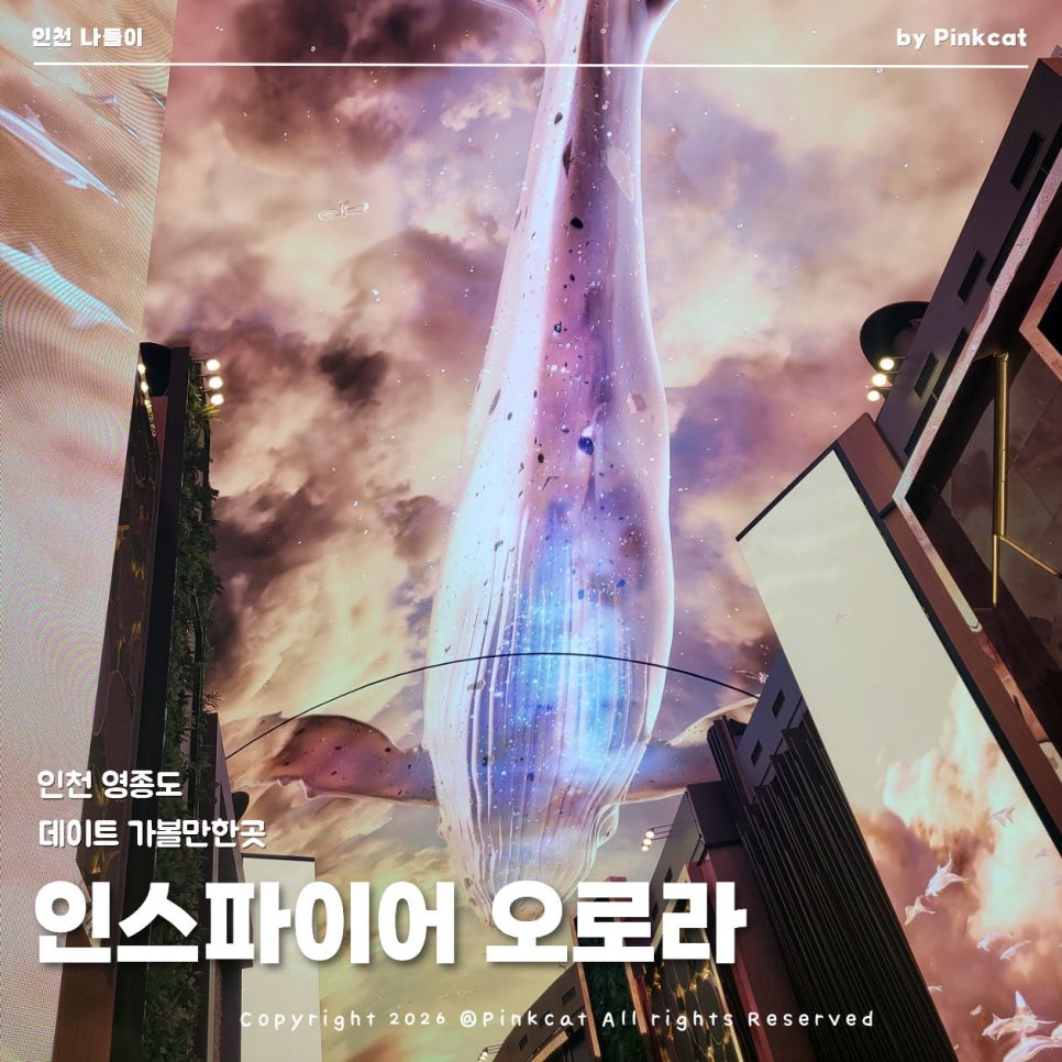 오로라바 사진 1
