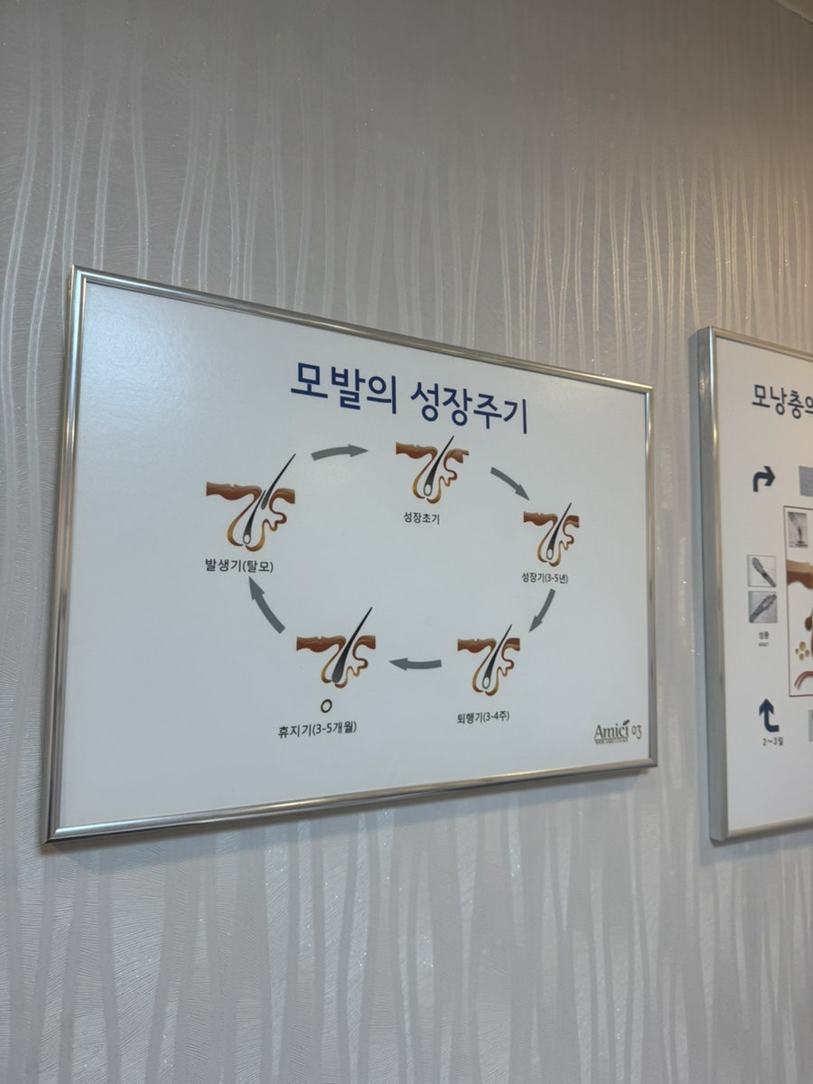 아미치 사진 4