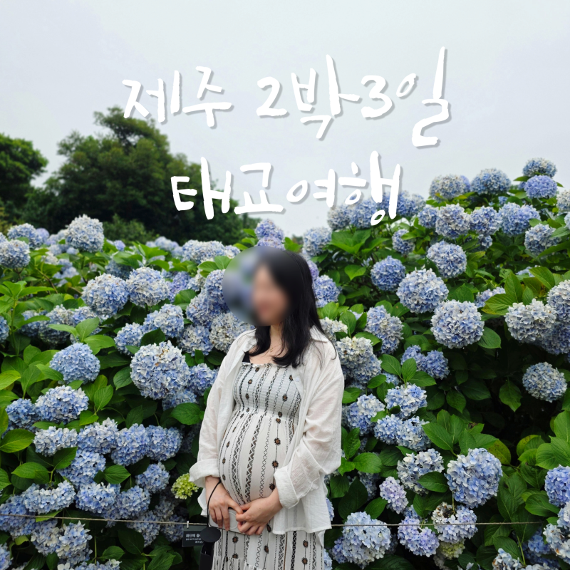제주도 태교여행 코스 2박 3일 준비물 비용 임산부 여행 후기