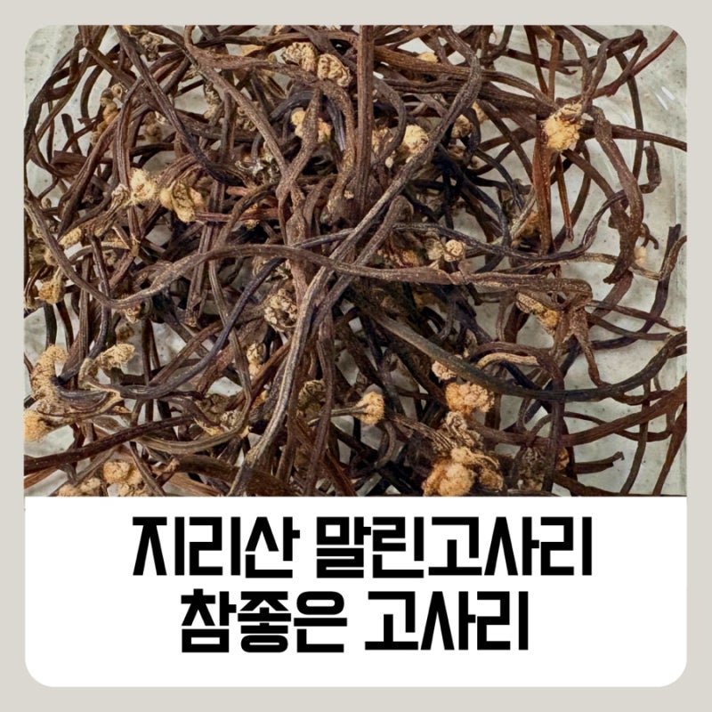 지리산 말린고사리 추천! 건고사리로 만든 들깨고사리볶음 아이반찬 후기