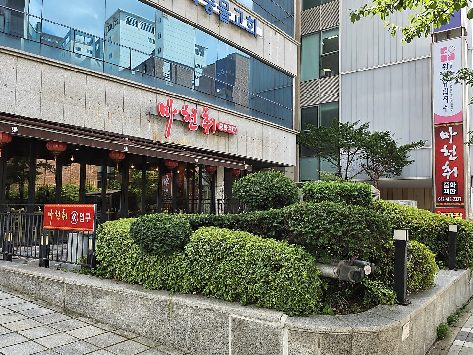 마천취 사진 1