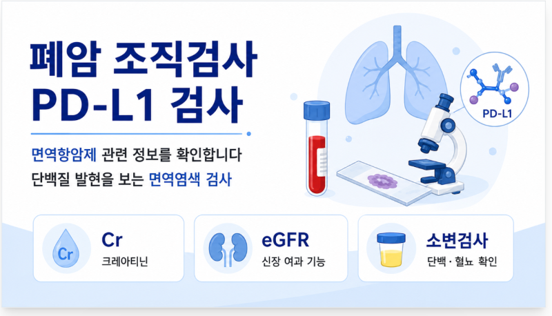 폐암 조직검사에서 PD-L1 검사는 왜 할까? 면역항암제와 관련된 검사 쉽게 보기