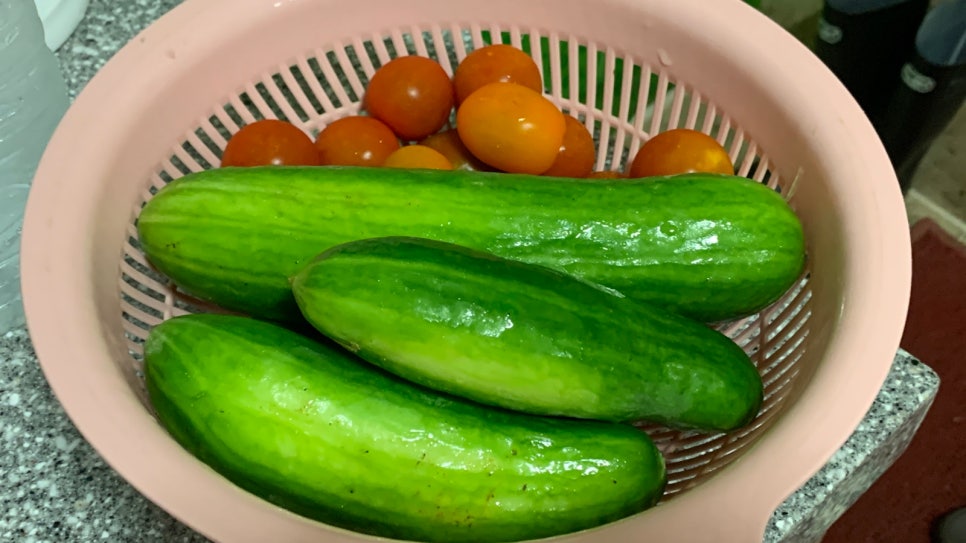 계곡물소리펜션 사진 6