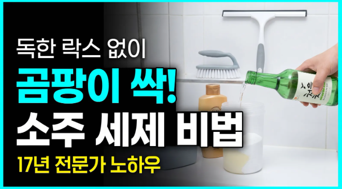 청소 전문가가 밝히는 소주 활용 화장실 곰팡이 제거 황금비율