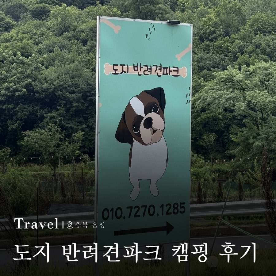 도지캠핑장