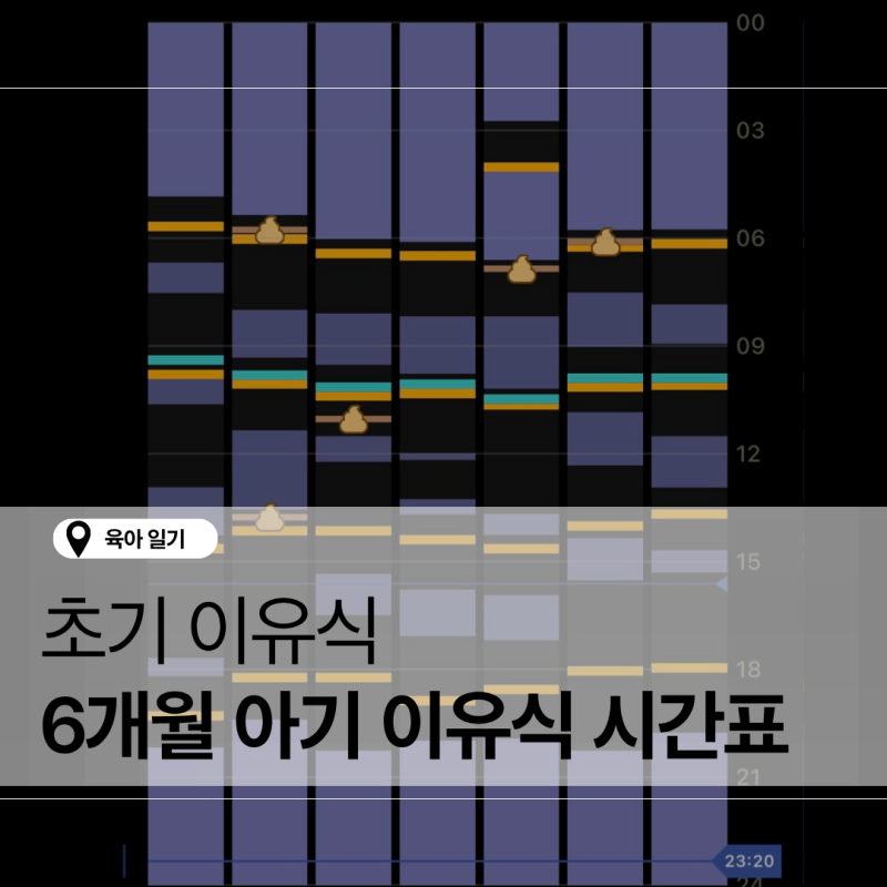 [초기이유식] 6개월 아기 이유식 시간, 보충수유 분유 텀