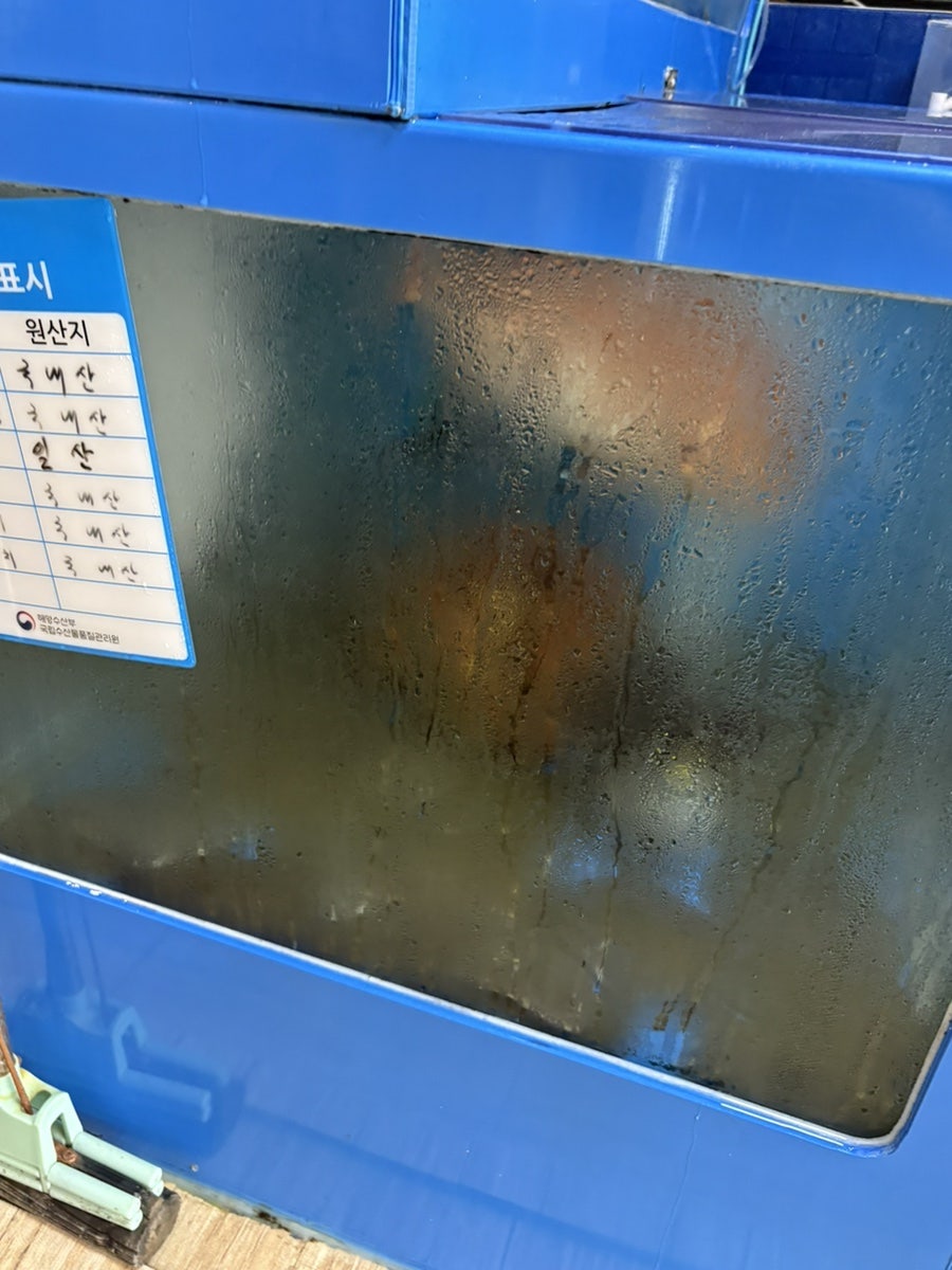 경주횟집 사진 3