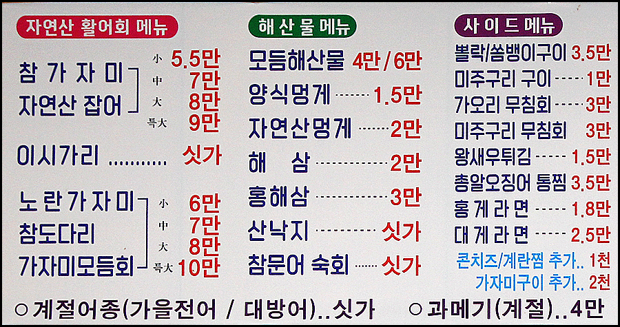 정자항참가자미 사진 5