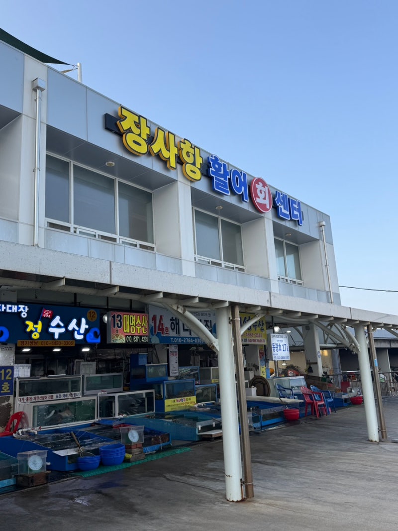 [고성 속초 회포장] 장사항활어회센터 7호 배일호, 봉포항 근처 가성비로 회포장한 배터진 후....