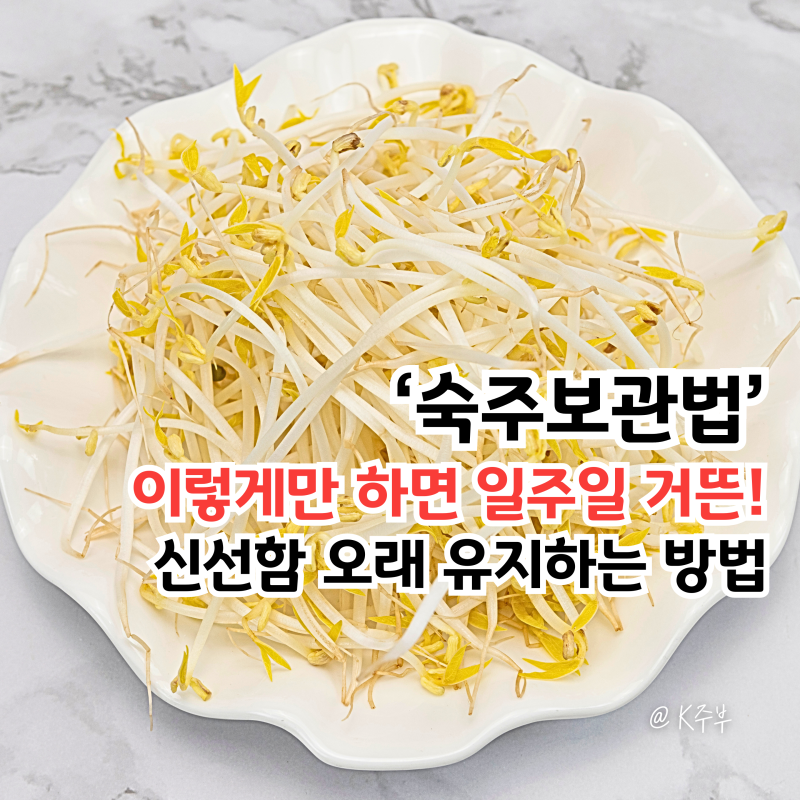 숙주 보관법, "이렇게만 하면 일주일 거뜬!" 오래 유지하는 방법