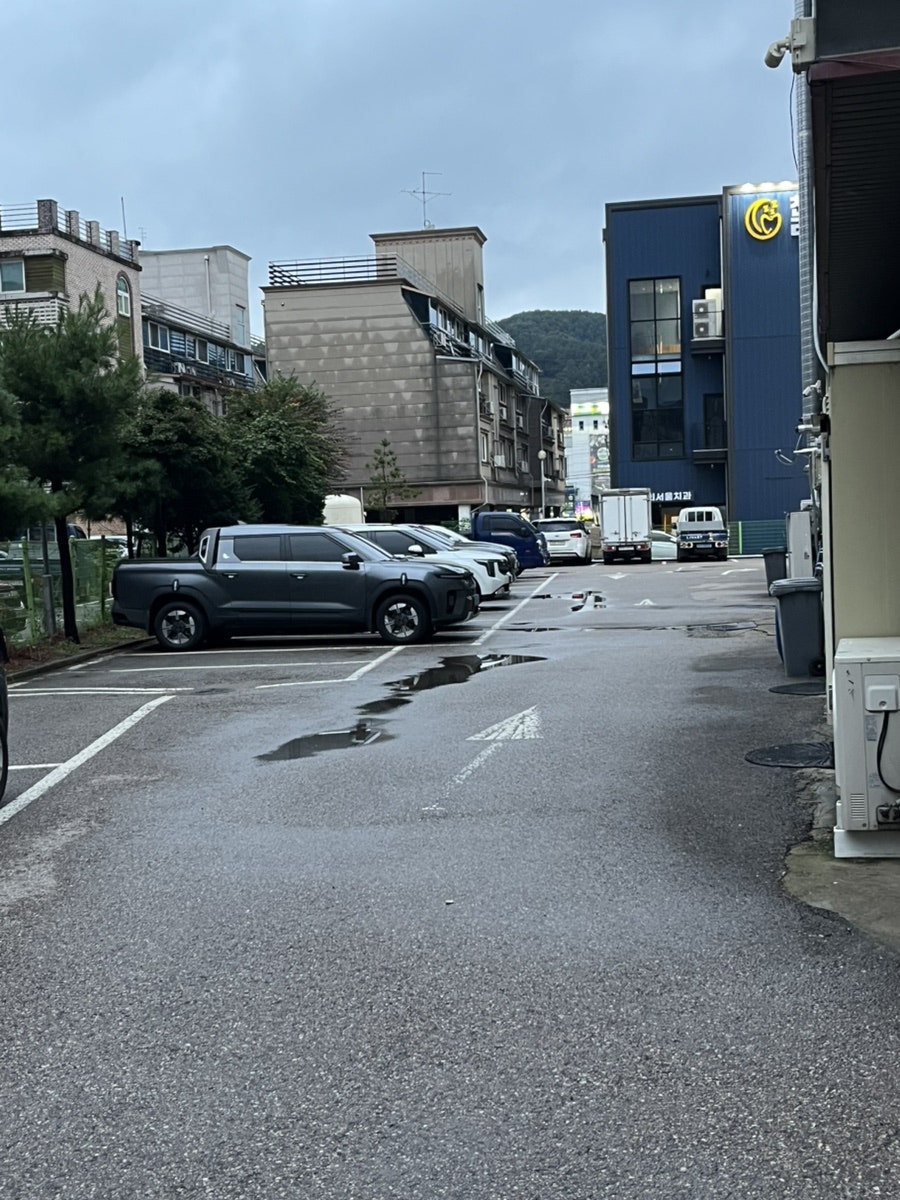 훔친소 사진 6