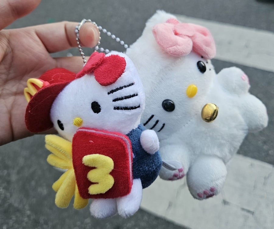 참새집 사진 2